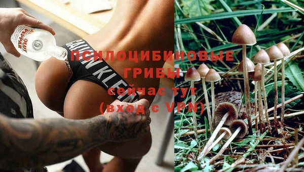 соль ск Балабаново