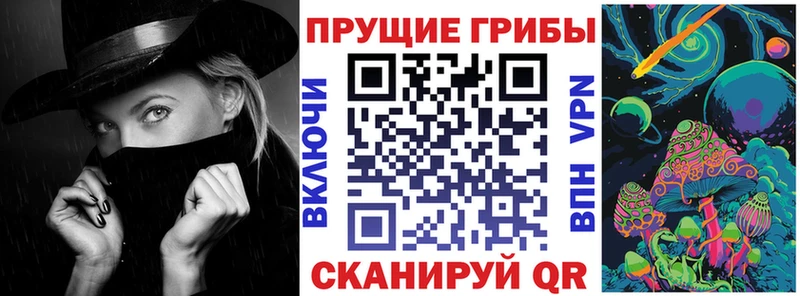 площадка как зайти  кракен рабочий сайт  Светлоград  Галлюциногенные грибы ЛСД 